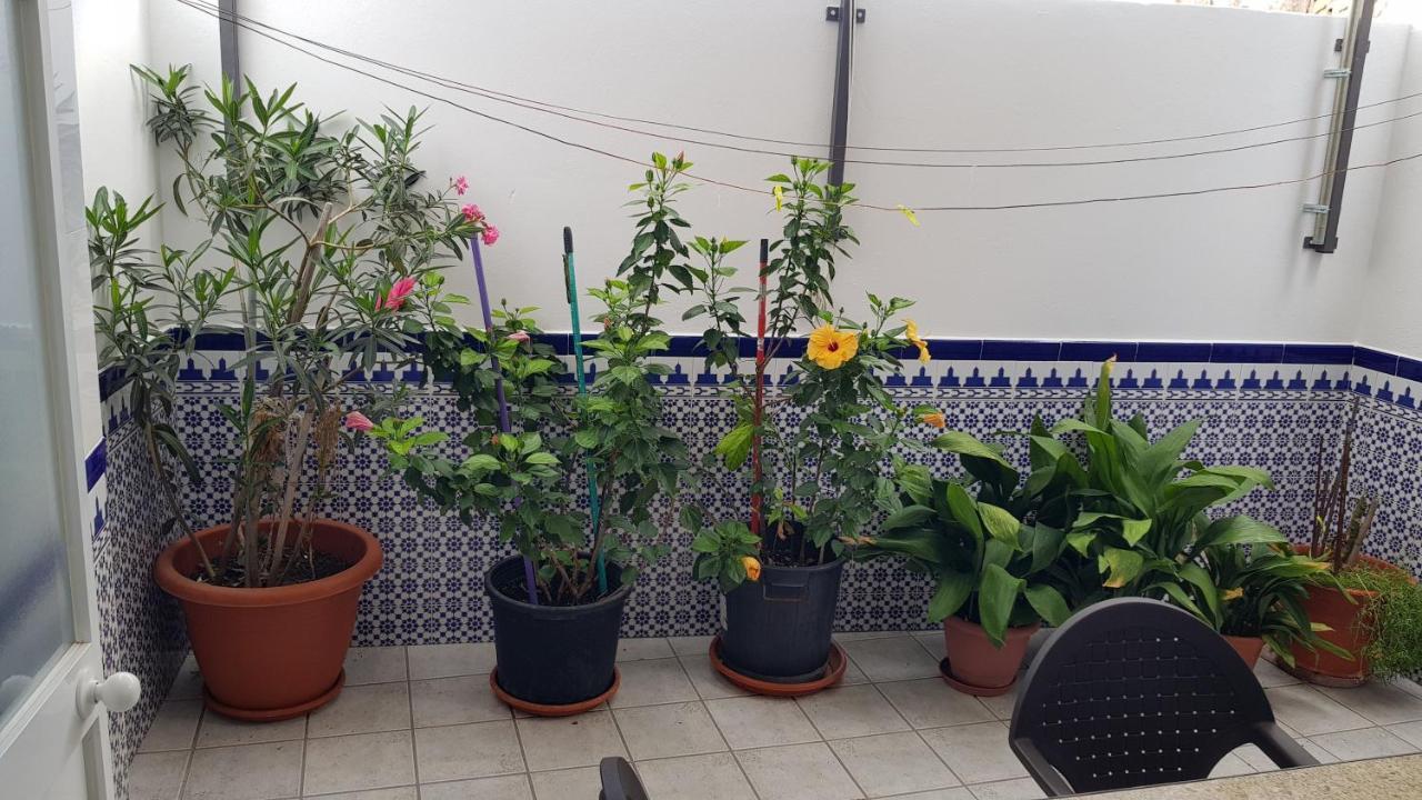 Apartamento Callejuela Las Flores Διαμέρισμα Algodonales Εξωτερικό φωτογραφία